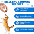 Load image into Gallery viewer, GuruAmi Dog Probiotics,Digestive Enzymes,Gut Health Chews for Digestion, Allergy Yeast, Itchy Skin- Prebiotics Fiber Supplement,Diarrhea Constipation Gas Upset Stomach Relief Treats 90 ct