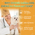 Load image into Gallery viewer, ColEaze Probiotic Gut Health Chews – 200 Soft Chews of Brutal Digestive Domination. No More Gas, No More Loose Stools, No More Weak Immunity. Pumpkin + 6.84B CFU Probiotics + Enzyme Strike Force