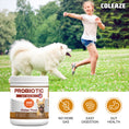 Load image into Gallery viewer, ColEaze Probiotic Gut Health Chews – 200 Soft Chews of Brutal Digestive Domination. No More Gas, No More Loose Stools, No More Weak Immunity. Pumpkin + 6.84B CFU Probiotics + Enzyme Strike Force