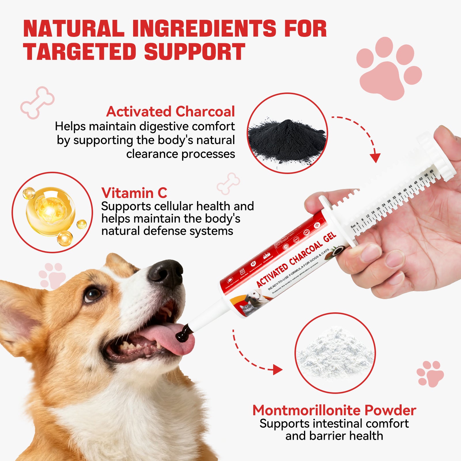 LIFE-SAVING Activated Charcoal for Dogs & Cats – The Ultimate Emergency First Aid for Accidental Poisoning, Toxic Ingestion & Digestive Distress – Ready-to-Use Rapid Detox for Home, Camping & Travel – 60mL