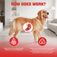 Load image into Gallery viewer, LIFE-SAVING Activated Charcoal for Dogs & Cats – The Ultimate Emergency First Aid for Accidental Poisoning, Toxic Ingestion & Digestive Distress – Ready-to-Use Rapid Detox for Home, Camping & Travel – 60mL
